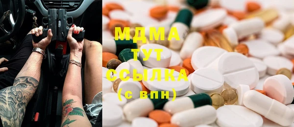гидра Надым