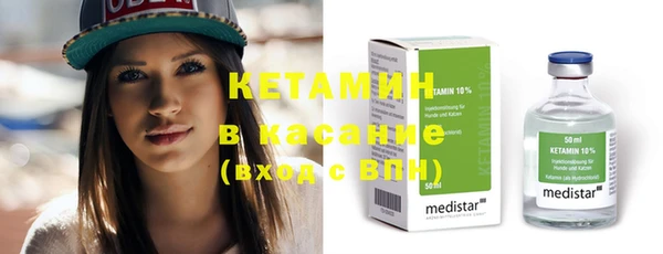 гидра Надым