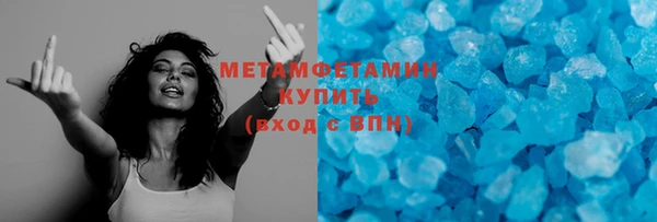 гидра Надым