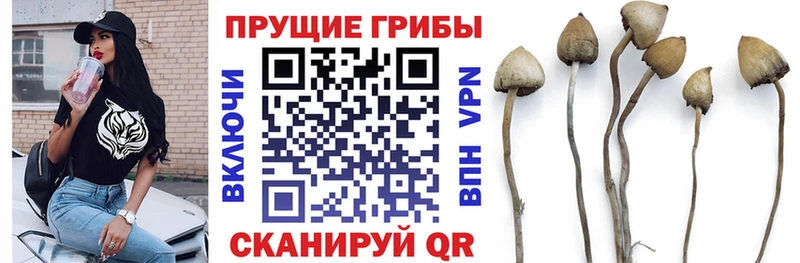 гидра зеркало  Осташков  Галлюциногенные грибы ЛСД 
